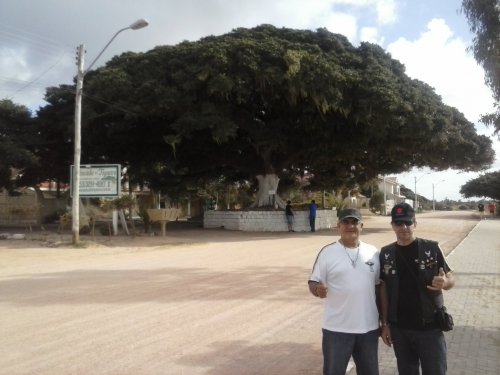 SÃO LOURENÇO DO SUL 03/2015